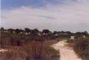Village of poalers in the Okavango Delta: C10