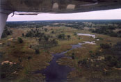 Cesna flight over the delta, recommended!!: E23