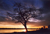 Another beatiful sunset, back in Drifters camp Maun: E30
