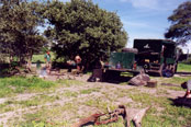 Breakingup camp in Chobe NP: J13