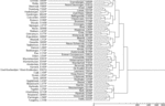 Een fragment van het dendrogram van de anafora-data